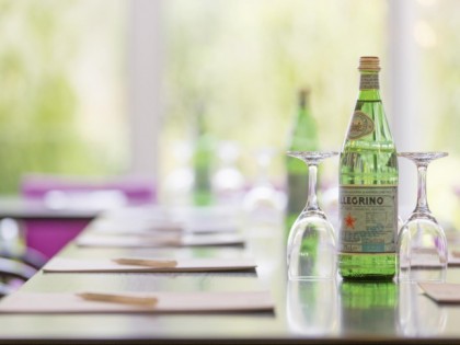 照片: Hotel Kurparkblick Bad Bergzabern
